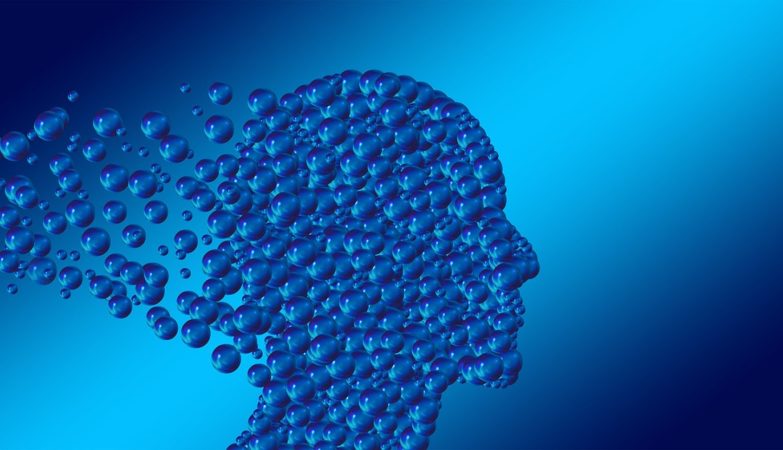 Quels sont les différents domaines de la psychologie ?